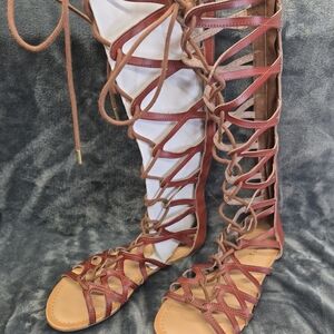 Steve Madden Gladiator Sandals Lace Up Size  7M Brown Color Knee Heels